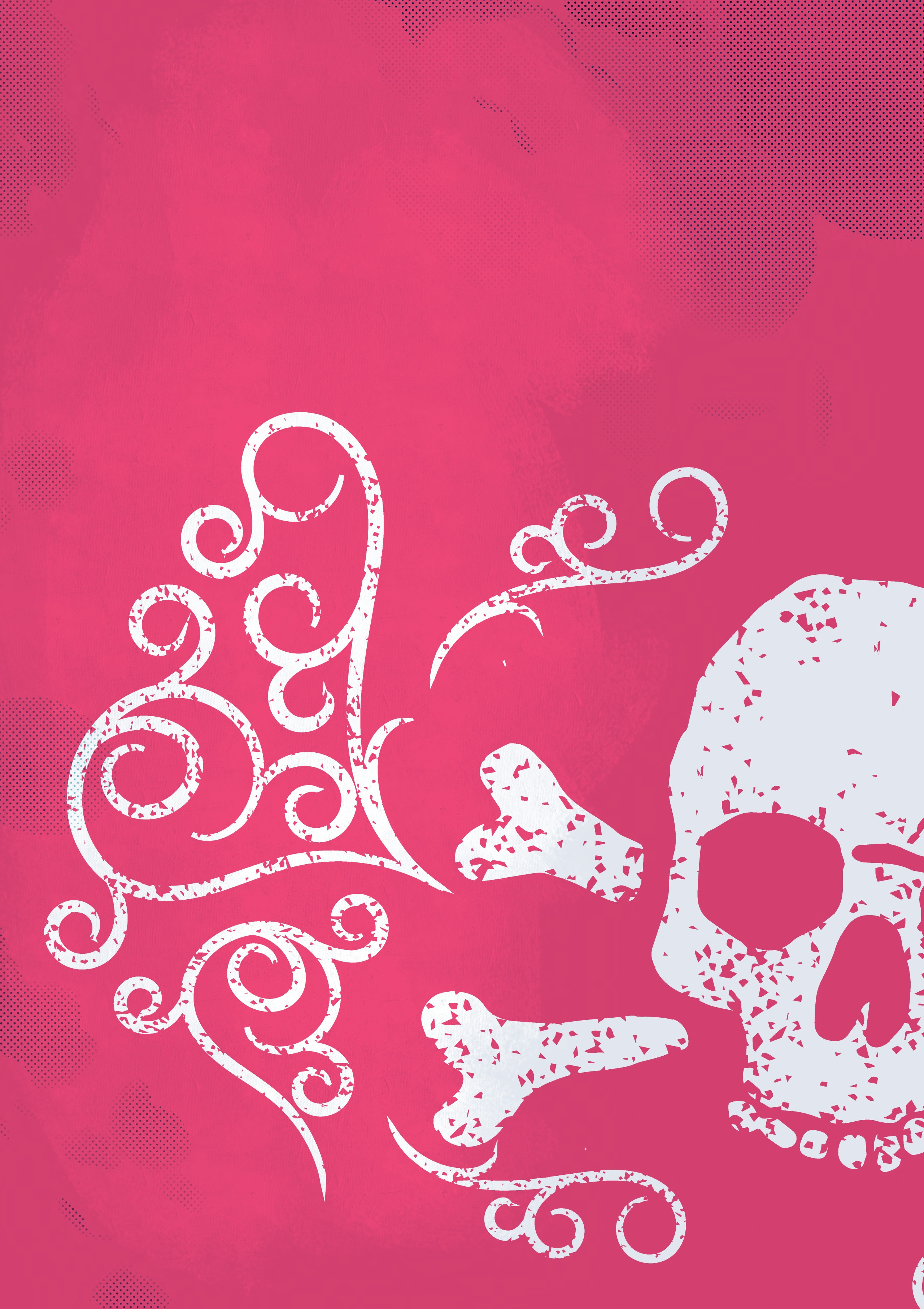 The Pirate Princess (2024): Chapter GN - Page 2