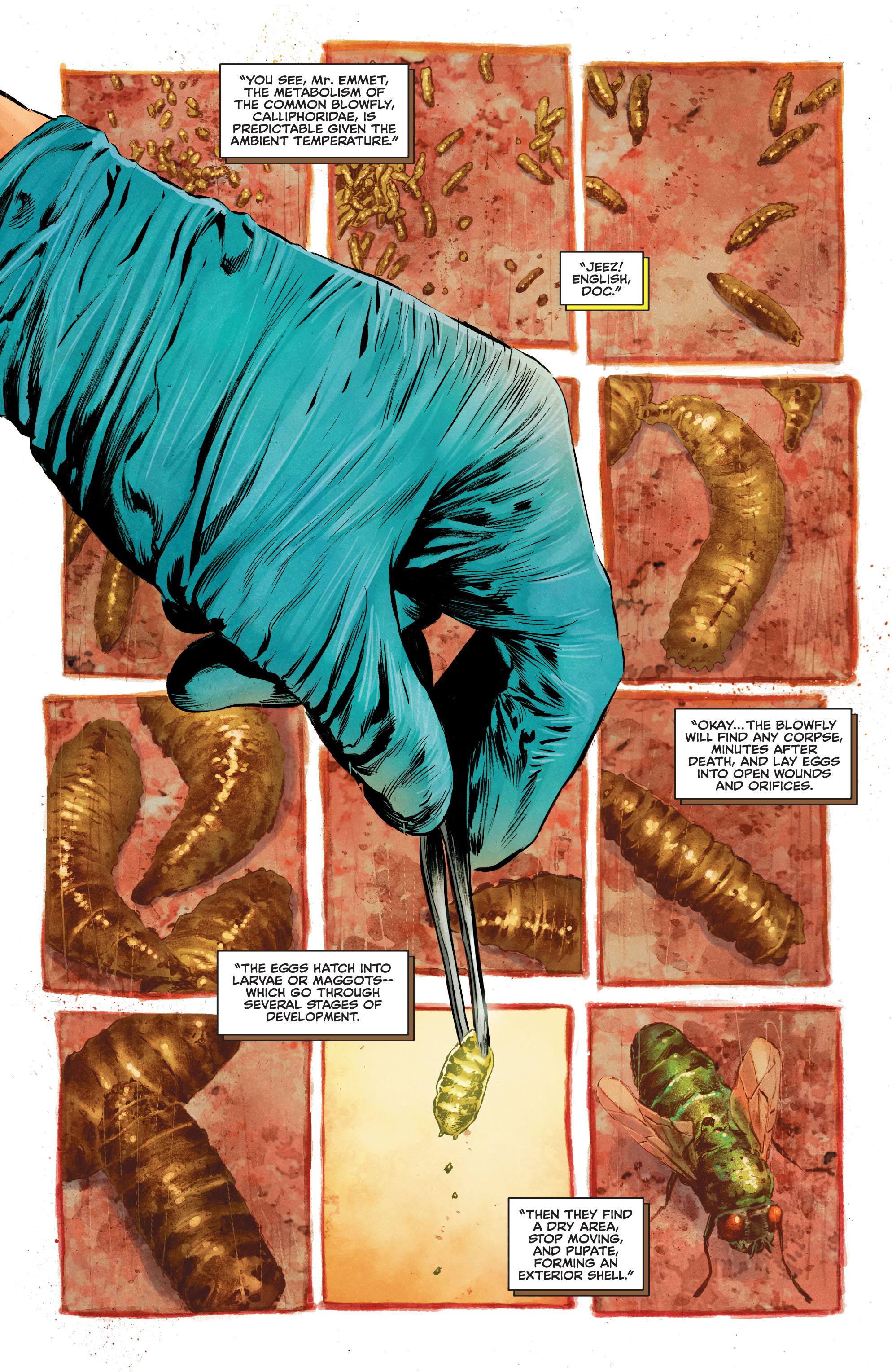 The Swamp Thing (2021-): Chapter 1 - Page 3
