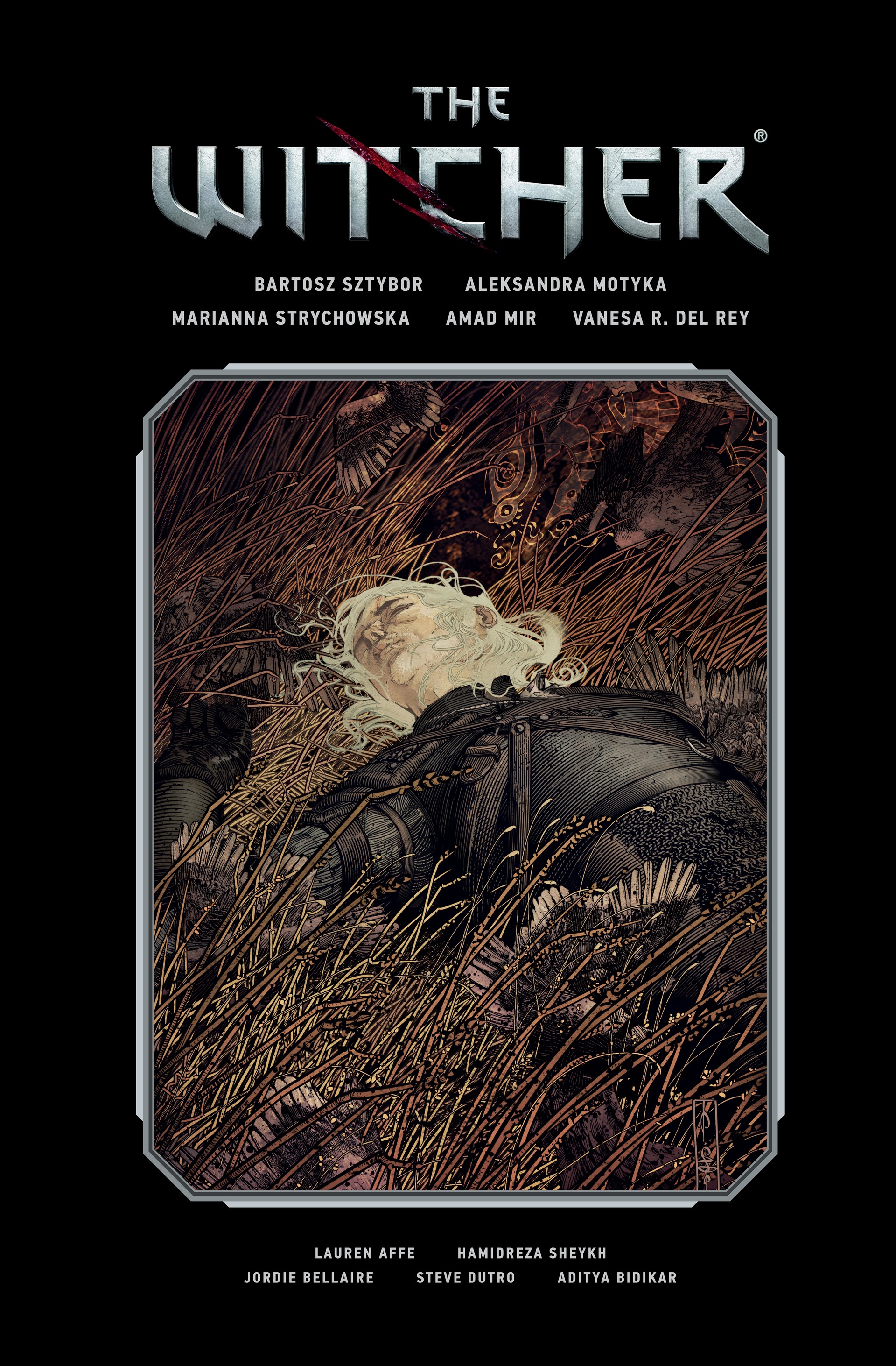 The Witcher: Library Edition (2018-): Chapter 2 - Page 1