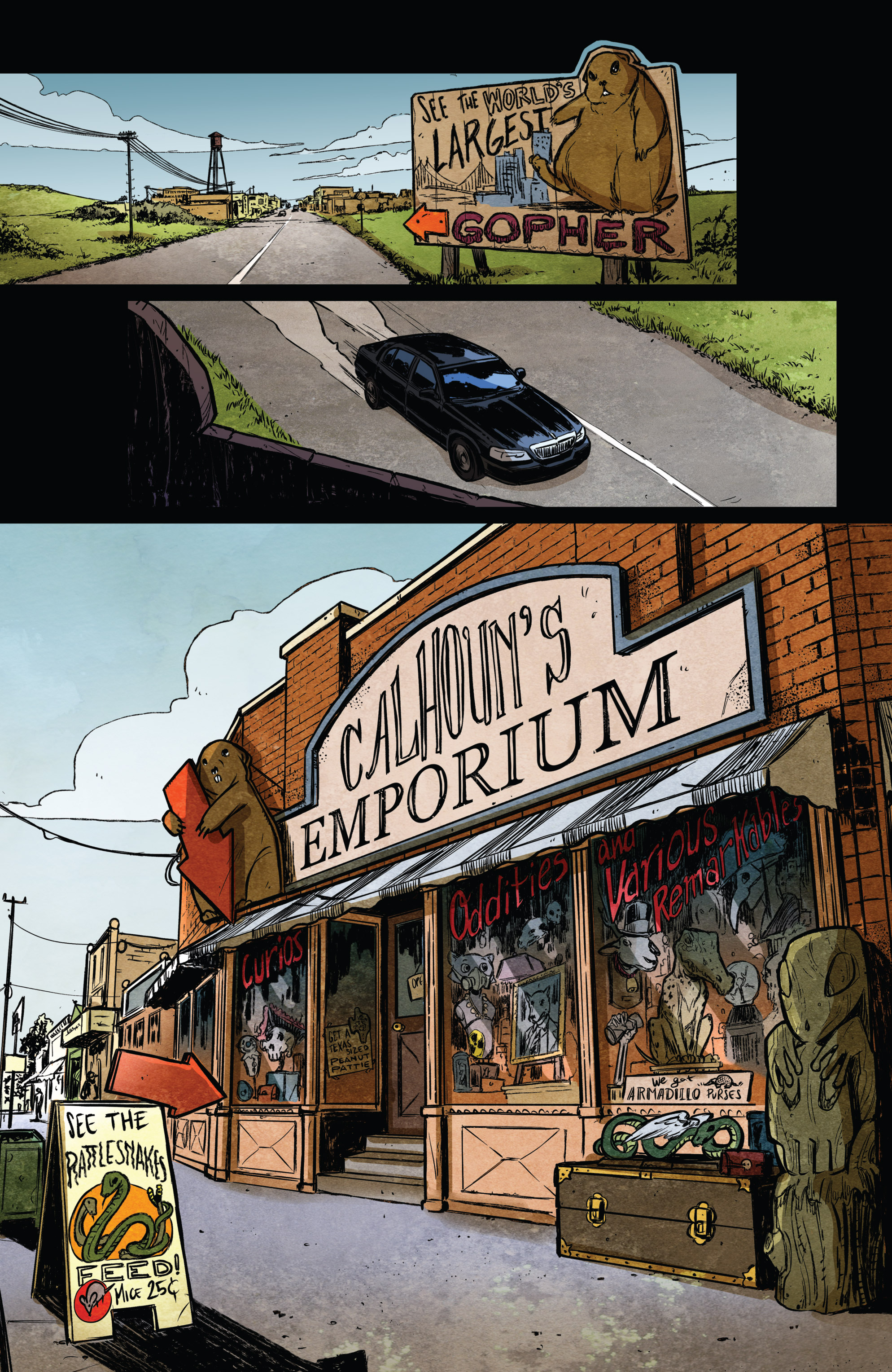 The X-Files: Case Files—Hoot Goes There? (2018-): Chapter 1 - Page 9