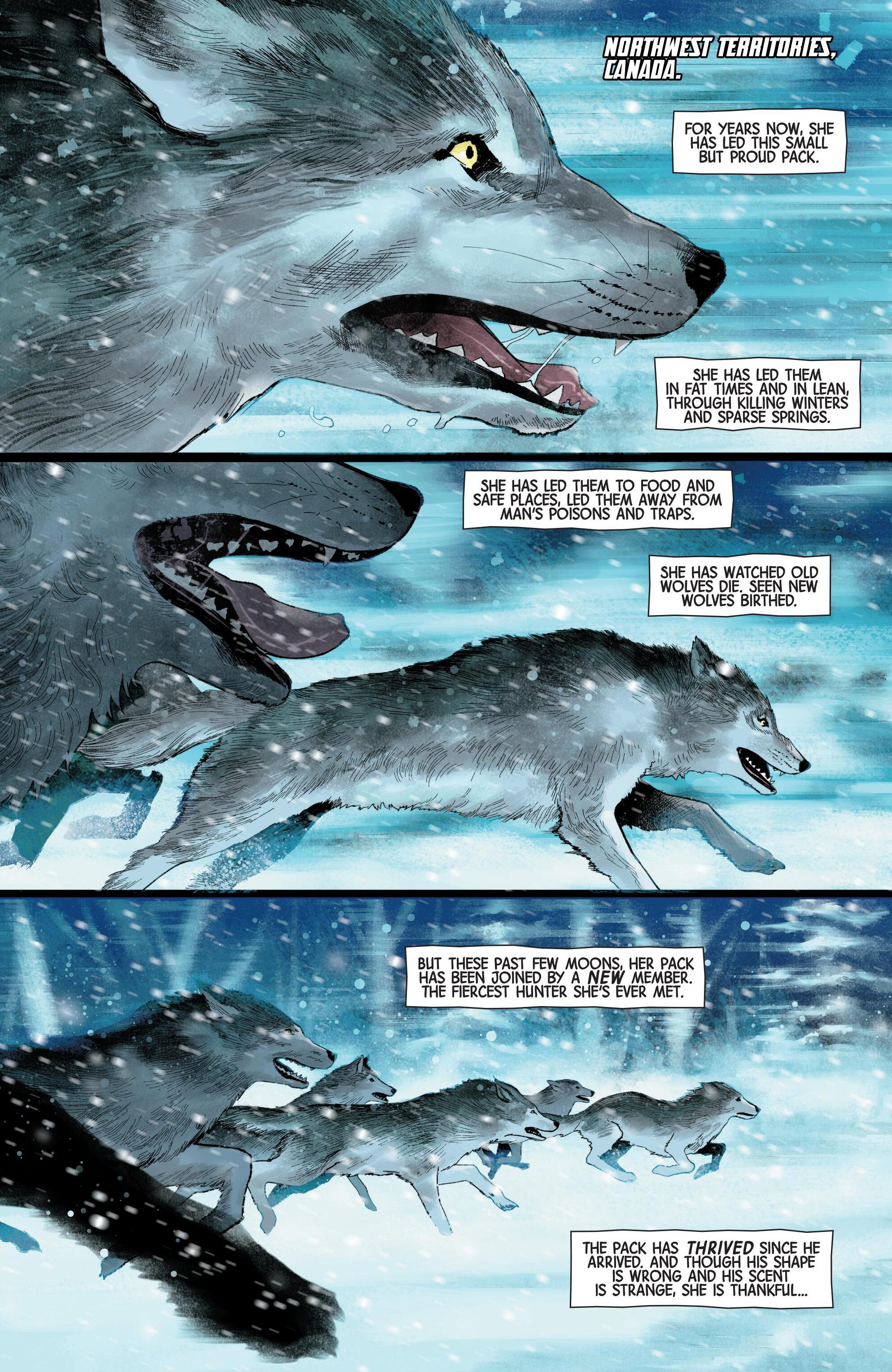 Wolverine (2024-): Chapter 1 - Page 2